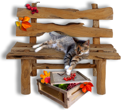 őszi állatok_61.png